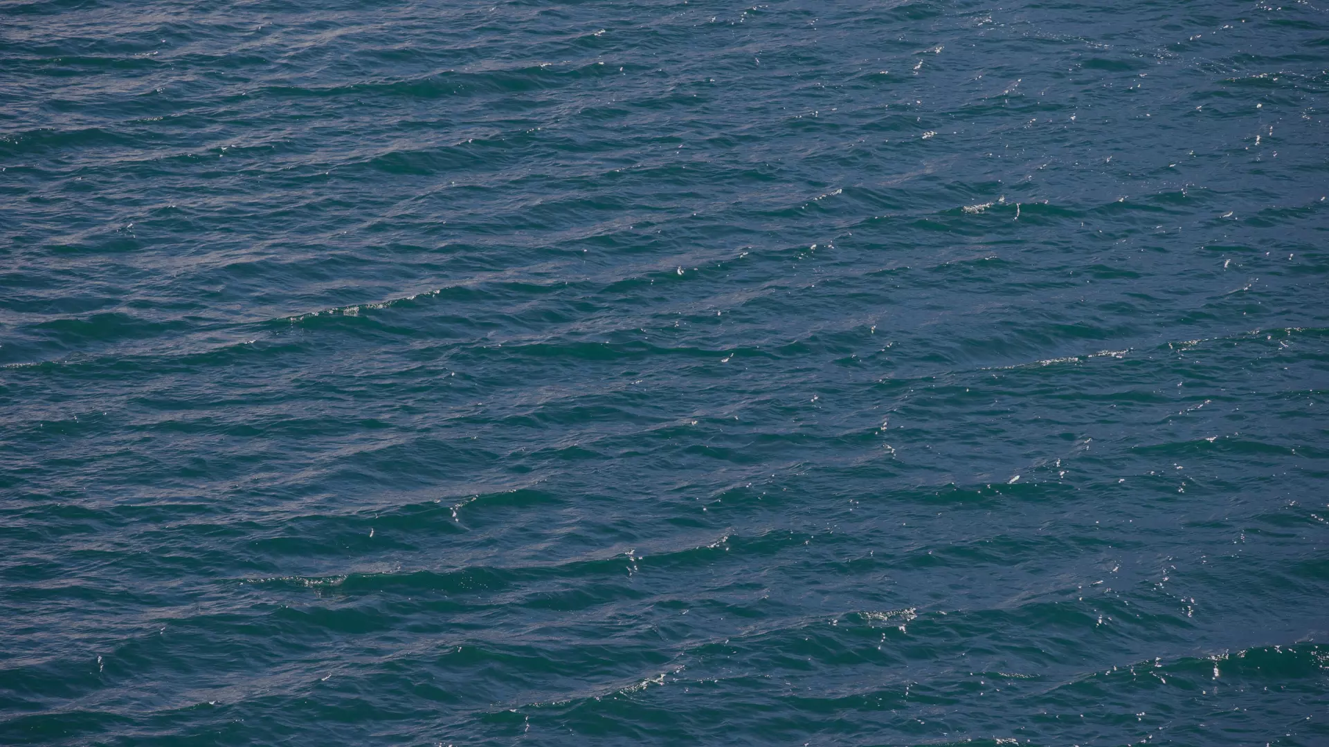 reclaIm water Veolia Solution